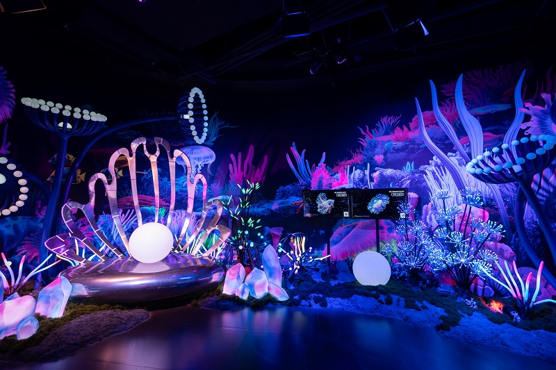 ��ʱKB88��(�й���)�ٷ���վ